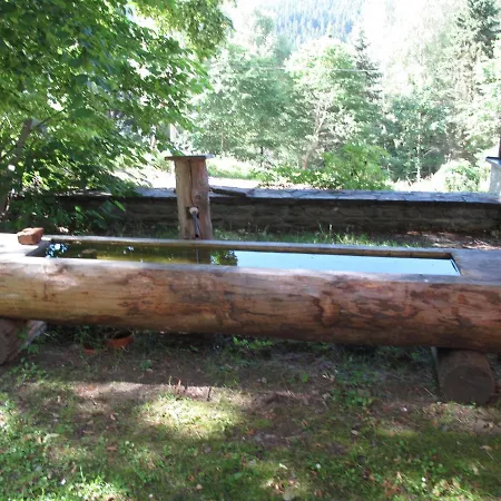 Forsthaus Glashuette Orman Evi Schaueregg