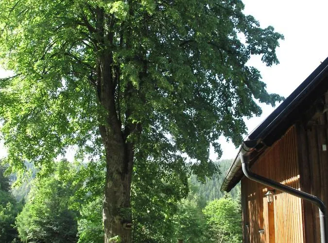 Forsthaus Glashuette Lodge